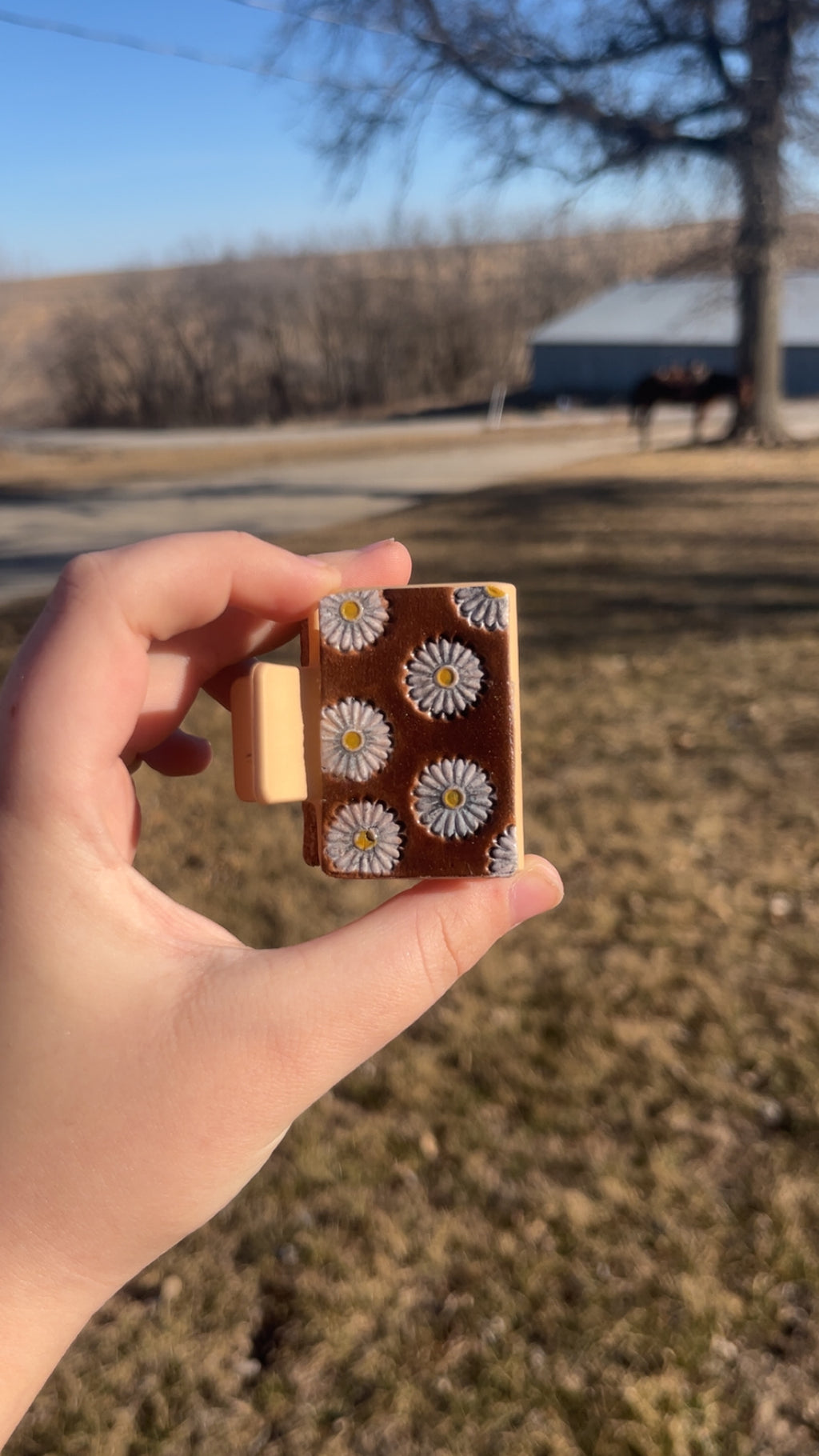 Medium DAISY clip