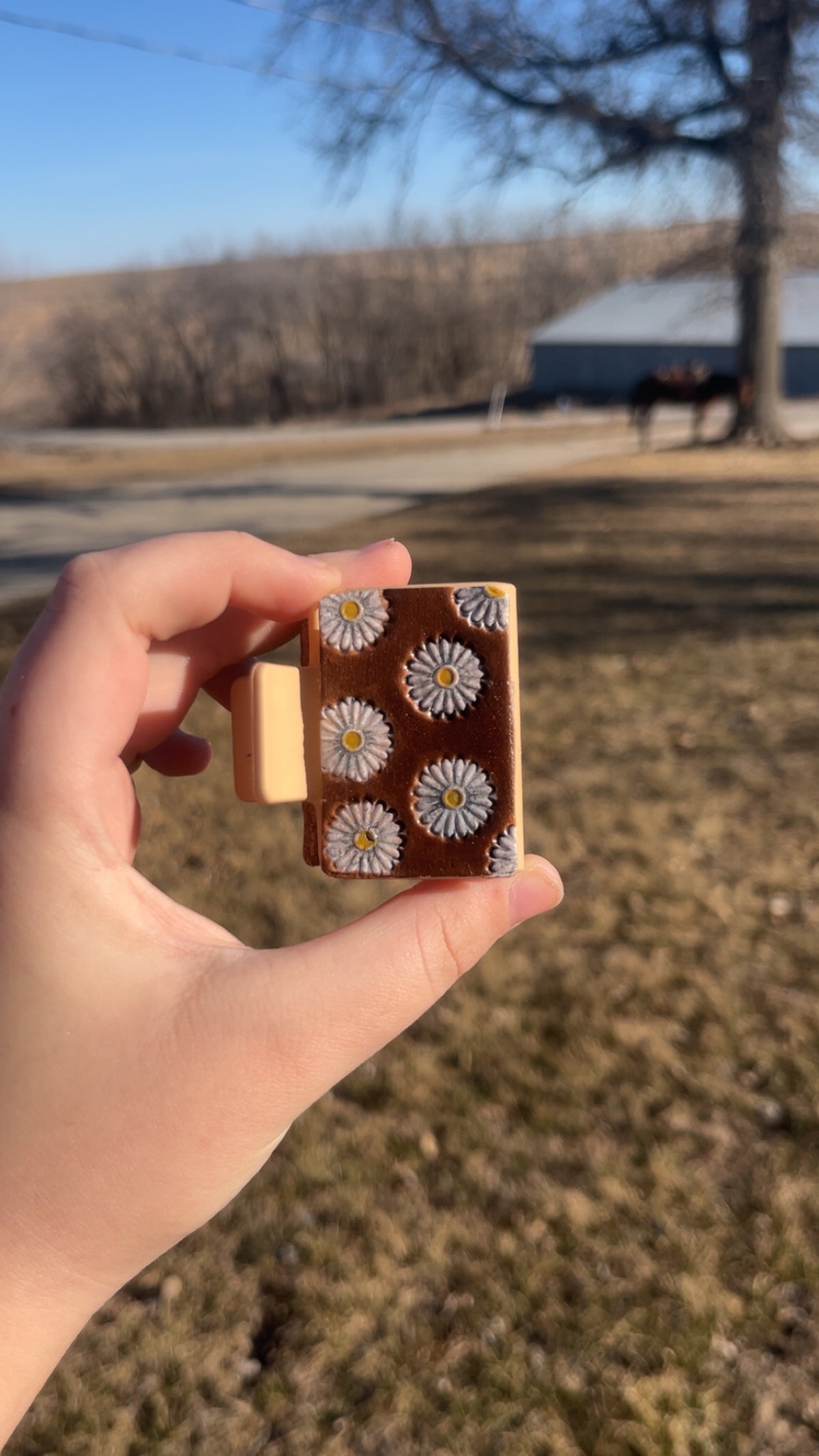 Medium DAISY clip