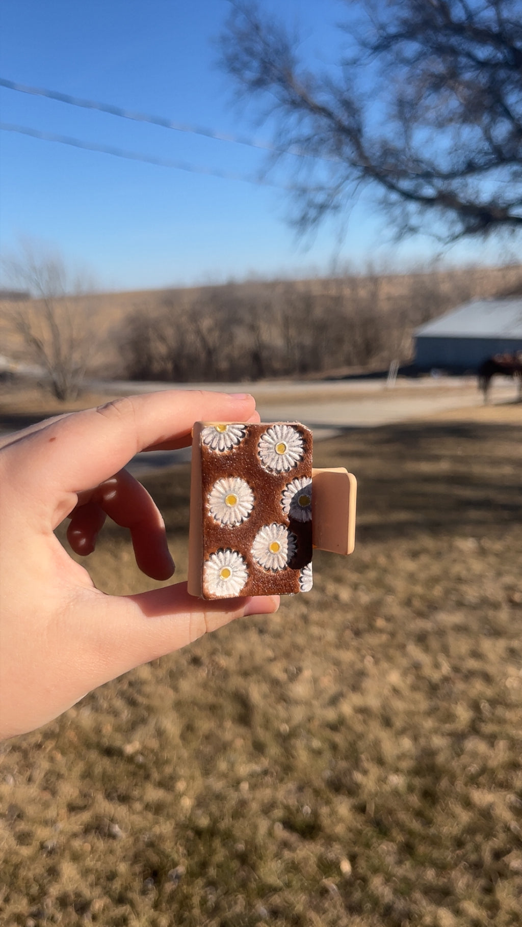 Medium DAISY clip
