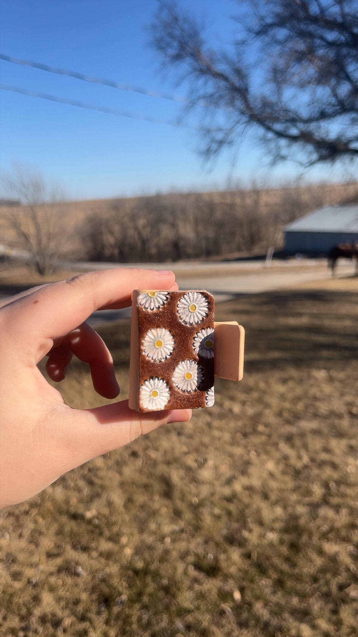 Medium DAISY clip